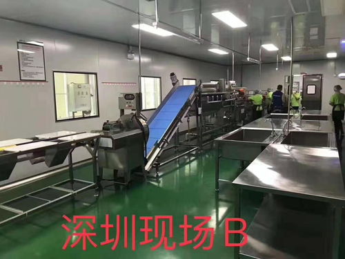 探尋莆田大型洗菜機廠家的信息技術之路